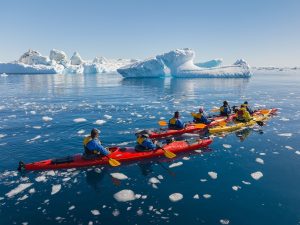 Sea kayakers in icy Antarctic waters with large icebergs in background. 