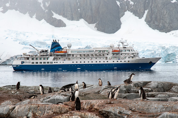 Seaventure exterior with penguins on rocks in the foreground