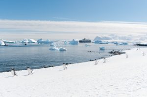 20151119-Antarctica Nikon-511