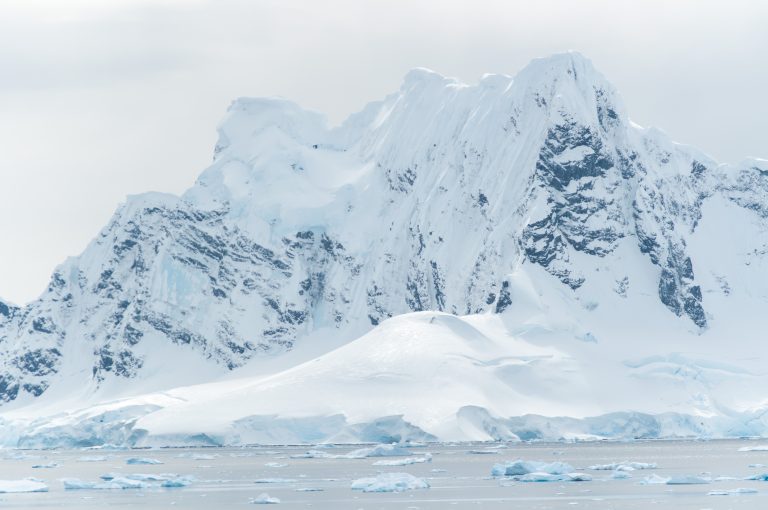 20151119-Antarctica Nikon-616
