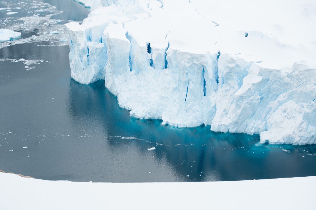 20151119-Antarctica Nikon-703