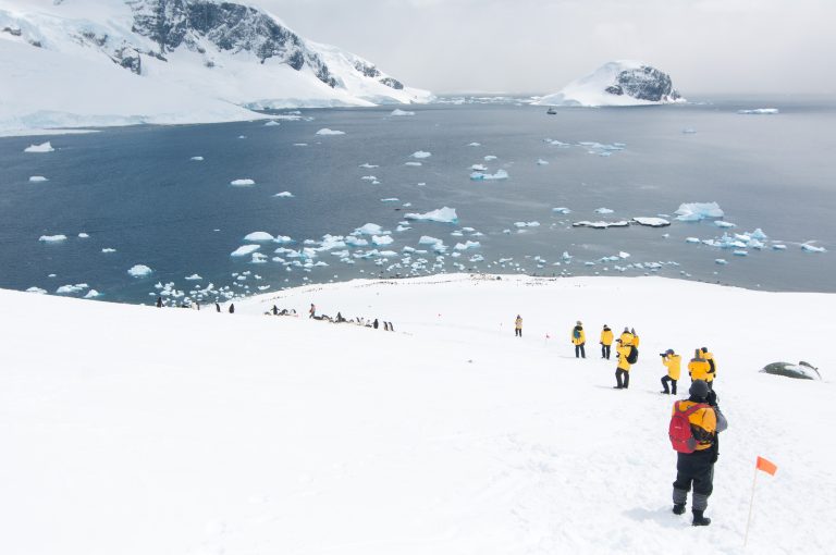 Polar Cruises. Stepping foot on Antarctica.