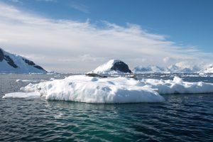 A seal on an ice floe in Antarctica. 