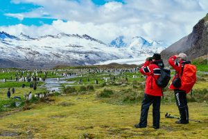 Two guests looking at king penguins and mountainous landscape on South Georgia. 