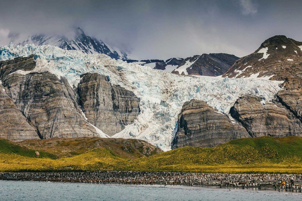 Glacier flowing over cliffs with king penguins on the beach. 