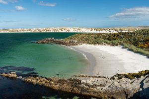 White sand beach in the Falkland Islands.