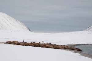 20160830-Svalbard-456