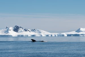 20170107-Antarctica Heb Sky_1265