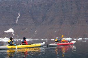 20180901-E-Greenland-1586
