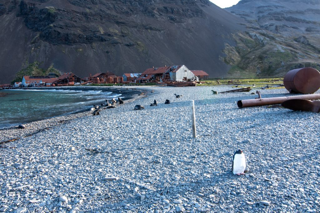 Abandoned whaling station at Stromness, South Georgia.  