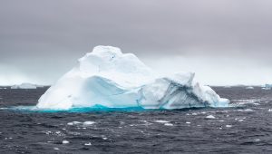 20240207-Antarctica Seaventure-558-Pano