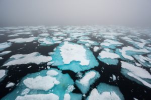 Sea ice on a foggy day.