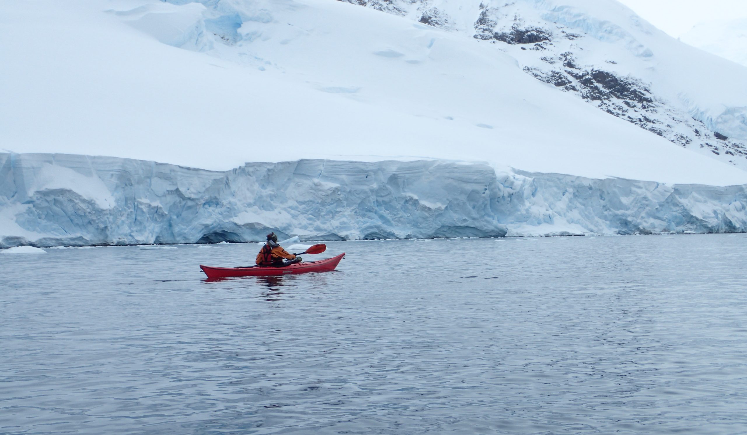 Solo kayaker paddling next to glacier in Antarctica.