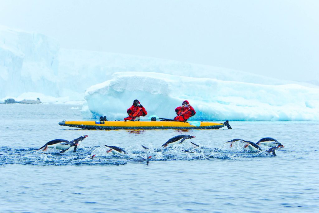 Kayakers taking photos of porpoising penguins.