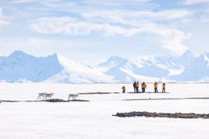 Guests standing in snowy landscape near reindeer. 