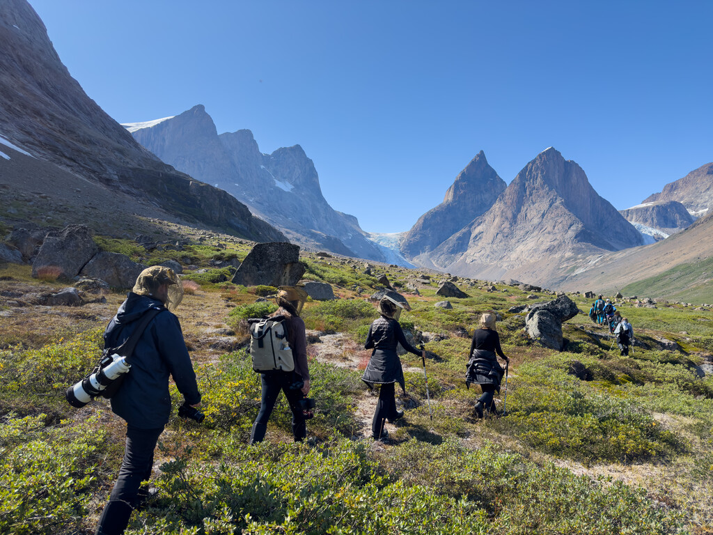 A line of guests hiking a green valley in Greenland.