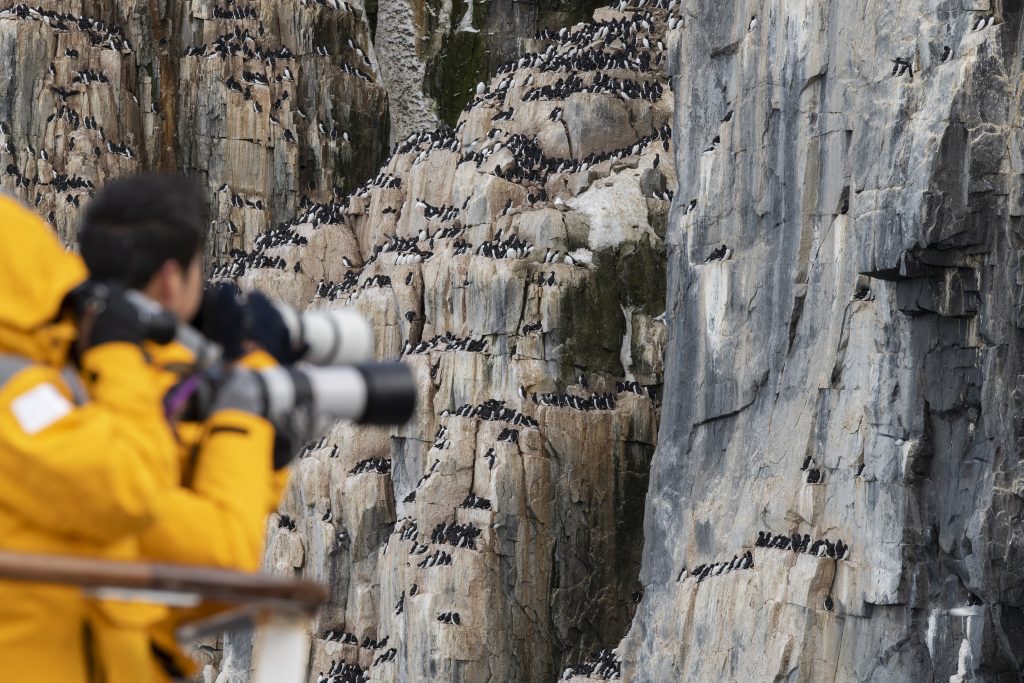 Guest taking photos of bird cliff. 