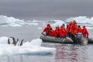 Guests on a zodiac looking at penguins on ice floe.