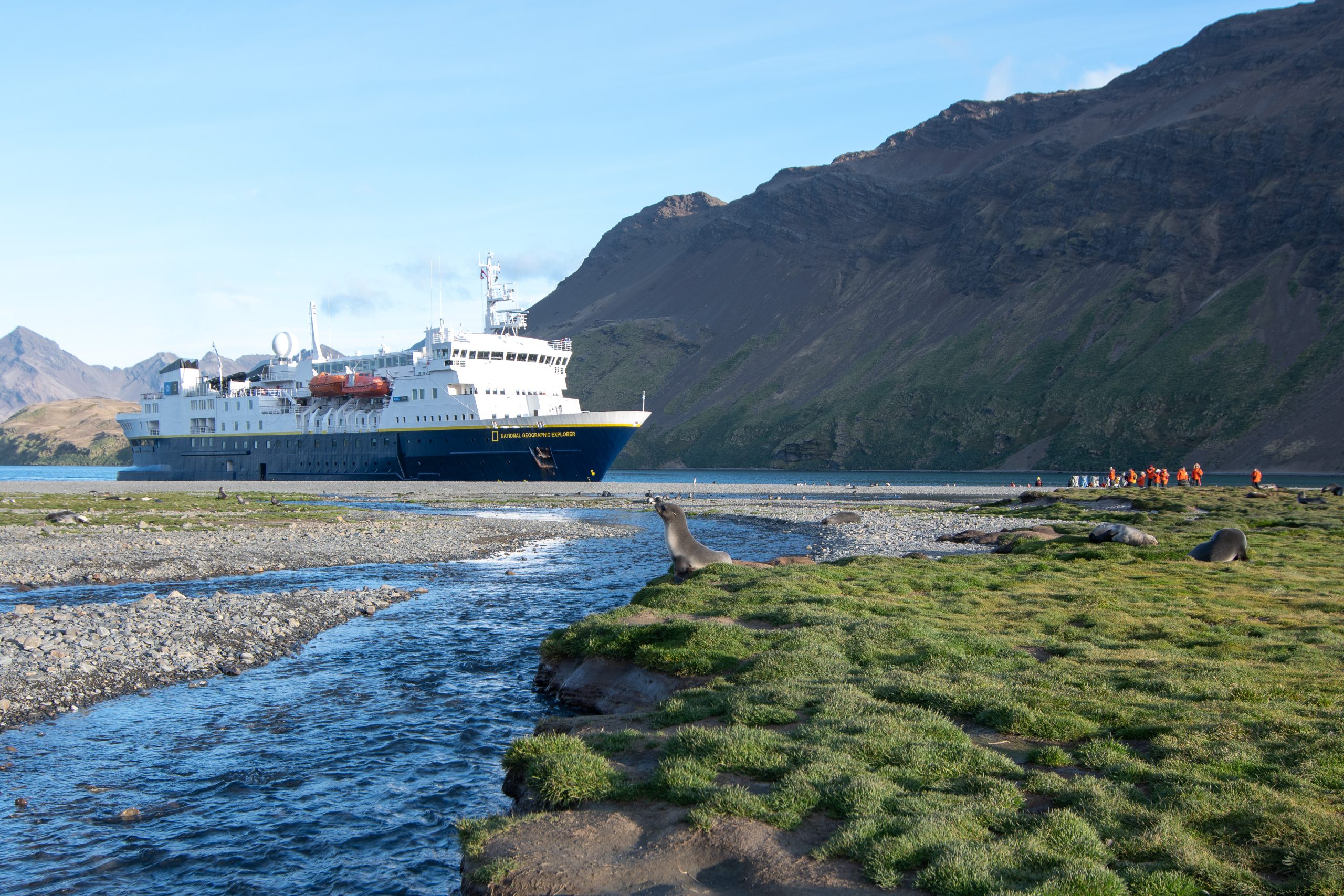 An expedition cruise ship anchored close to shore at South Georgia Island.
