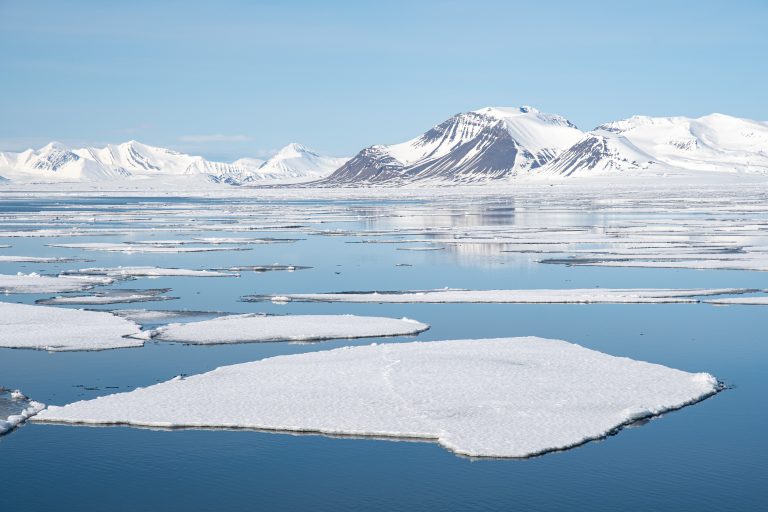 Ice floes on the water with snowy mountains in background.