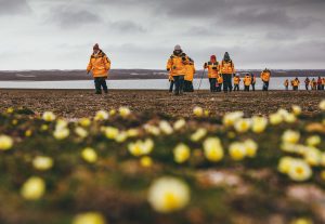 Guests hiking the tundra with yellow wildflowers in foreground.