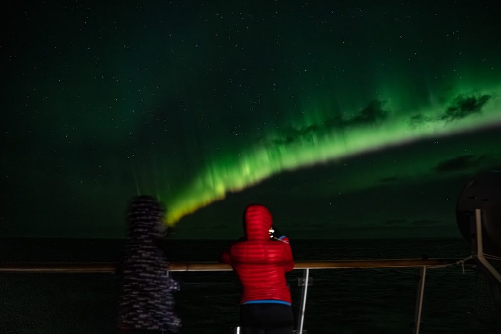 Guests looking at green northern lights in night sky.