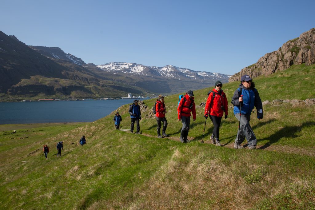 Hikers in Iceland. 