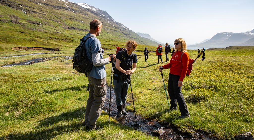Hikers on grassy field in Iceland.