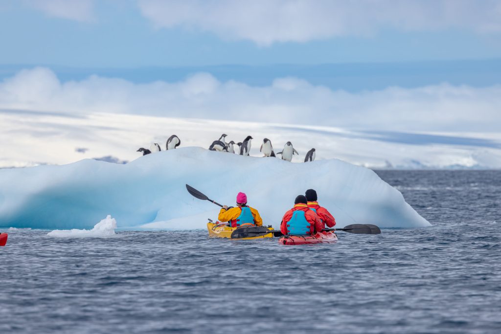 Guests kayaking towards penguins on iceberg.