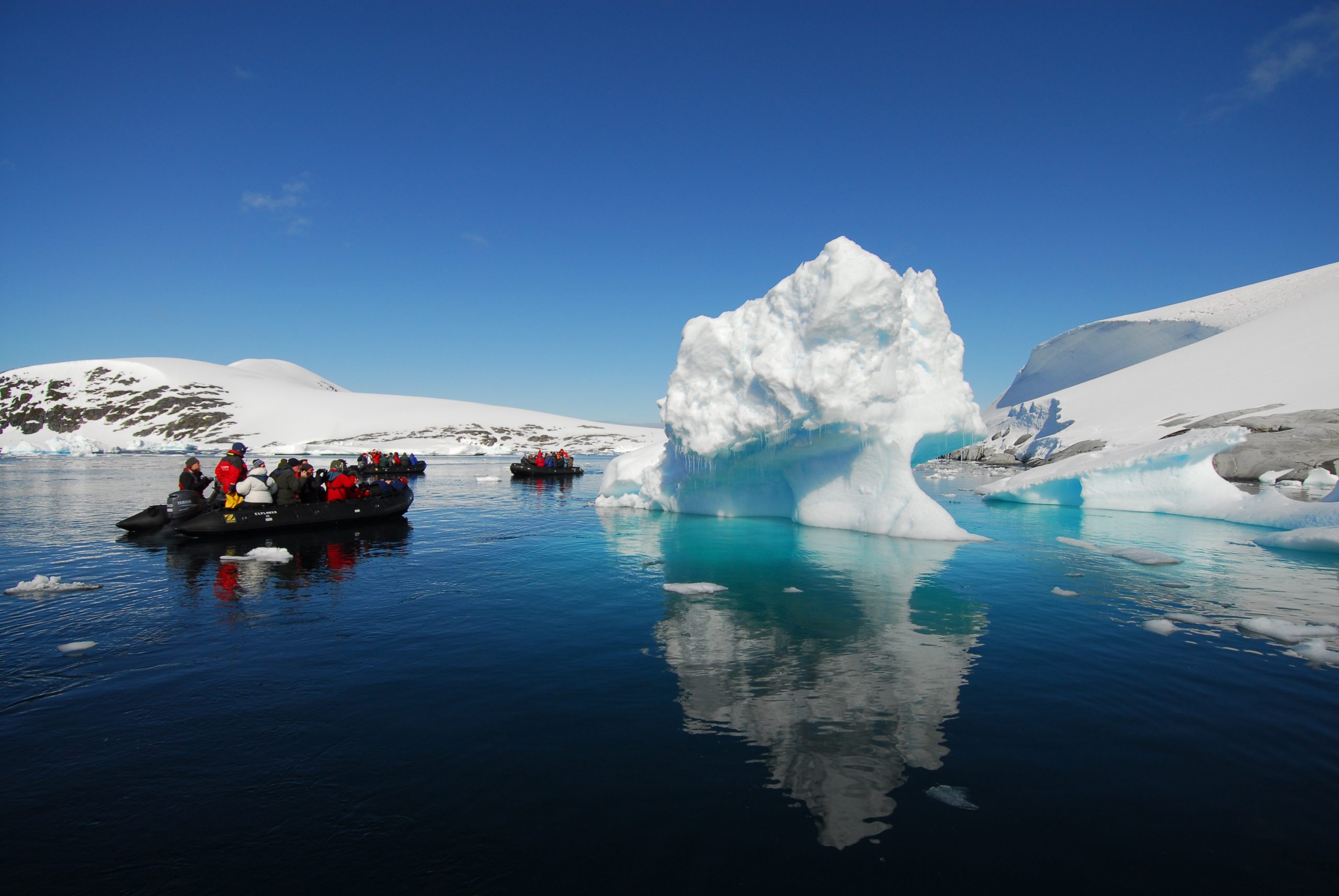 Ultimate South Georgia, Falklands & Antarctic Peninsula