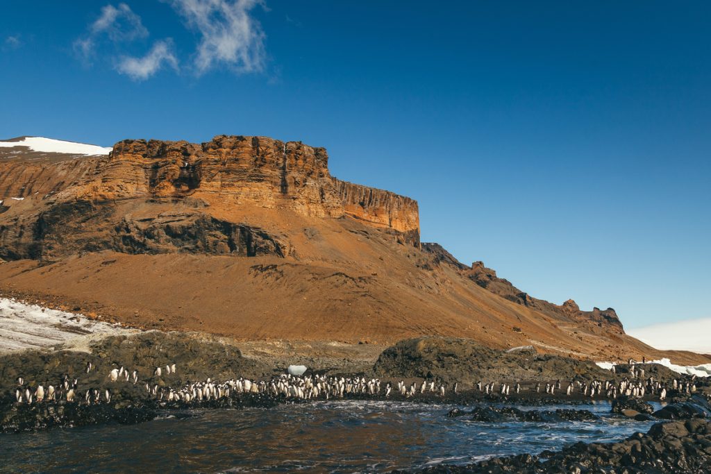 Snow free Antarctic landscape.