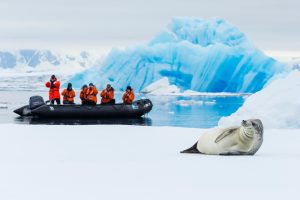 Guests on zodiac photographic a seal laying on ice.