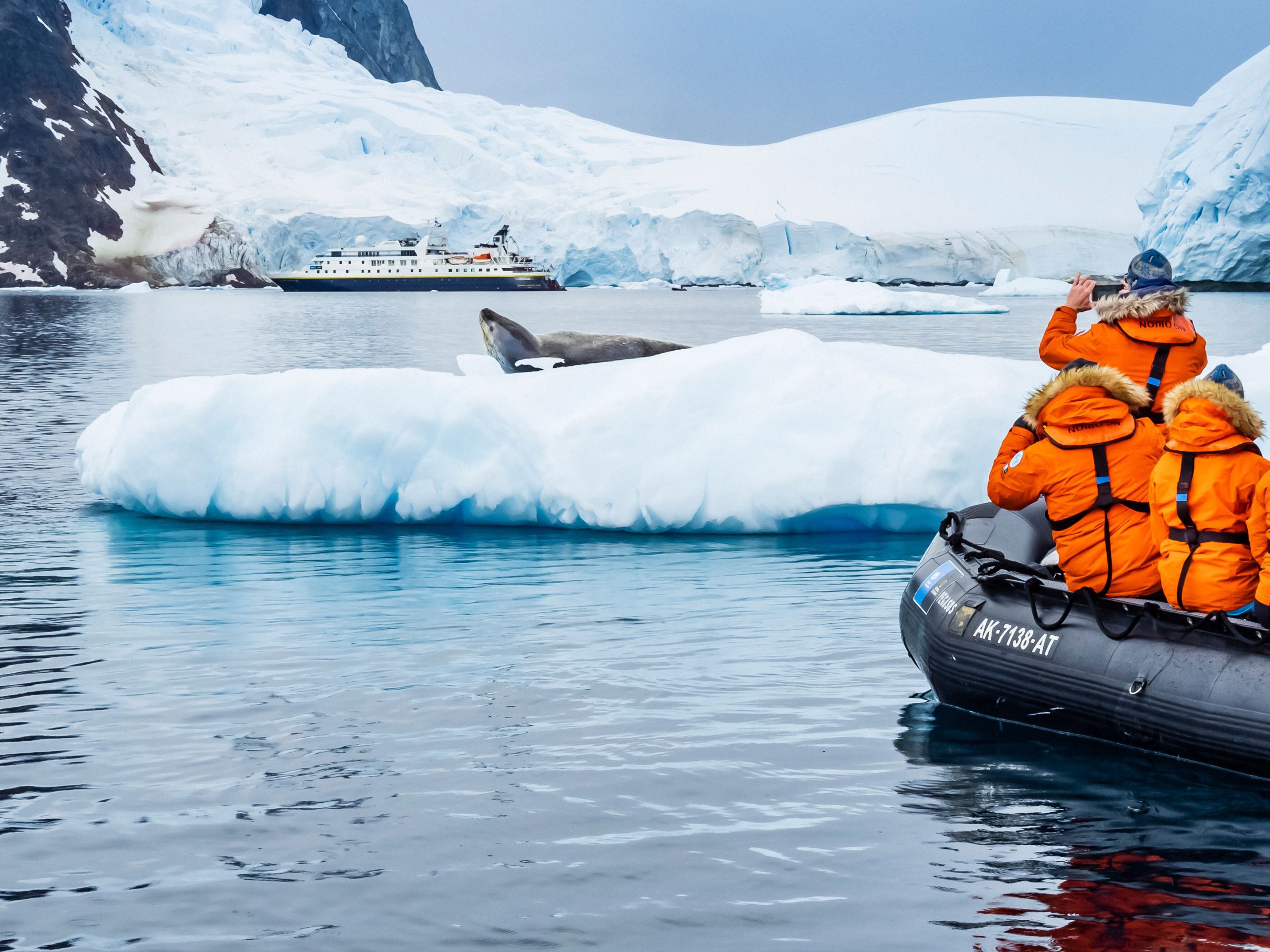 Guest looking at leopard seal on an iceberg in Antarctica.