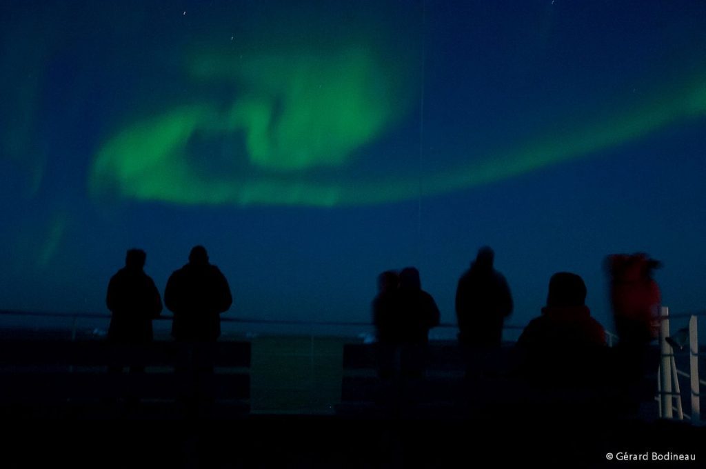 Guests stand on deck of ship looking up at northern lights. 