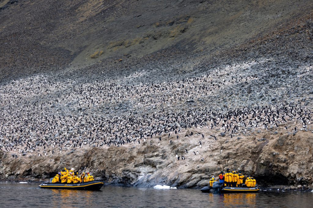 Two zodiacs cruising along shoreline next to huge penguin colony.